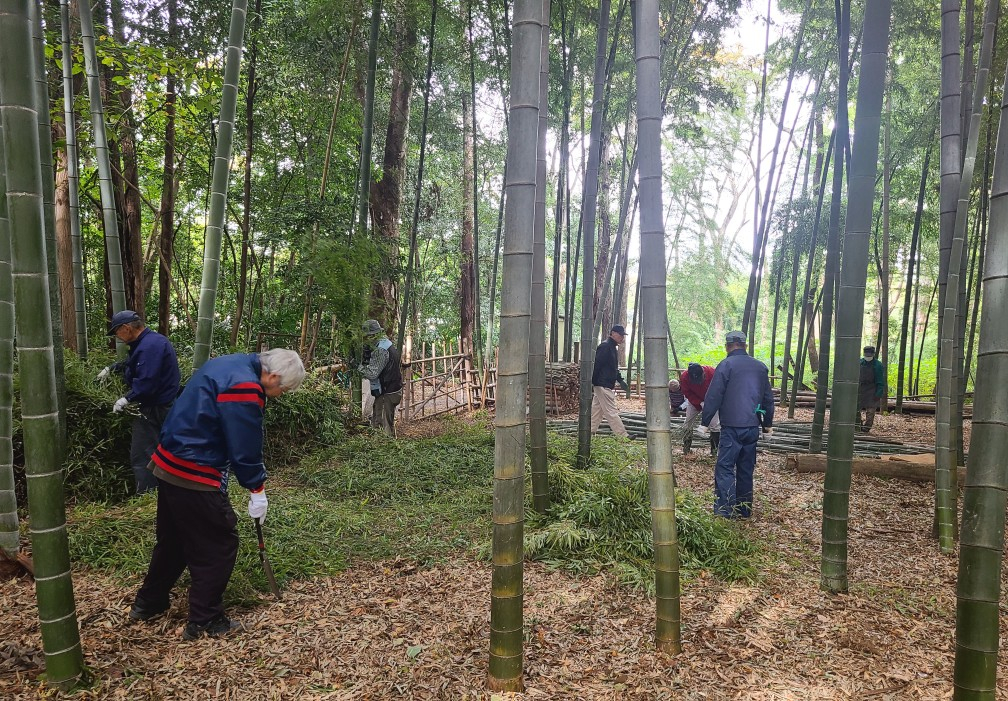 20251105_西新井竹林管理作業 (4)